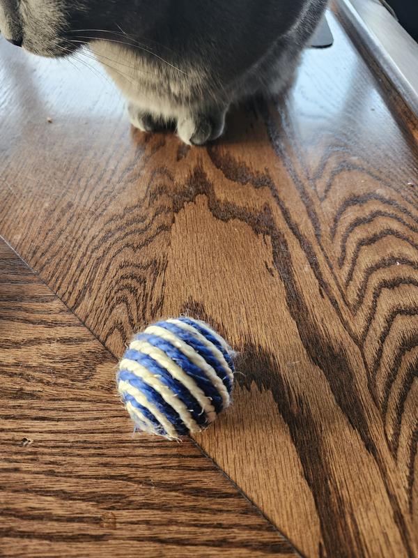 I had to find the sisal ball for the pic because they play so much with it and she kept grabbing it back when I was attempting to take a picture
