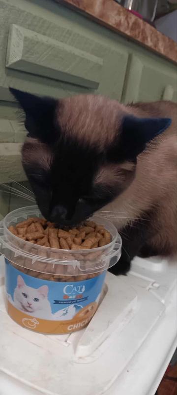 Taking it in, trying them, Nala approved!