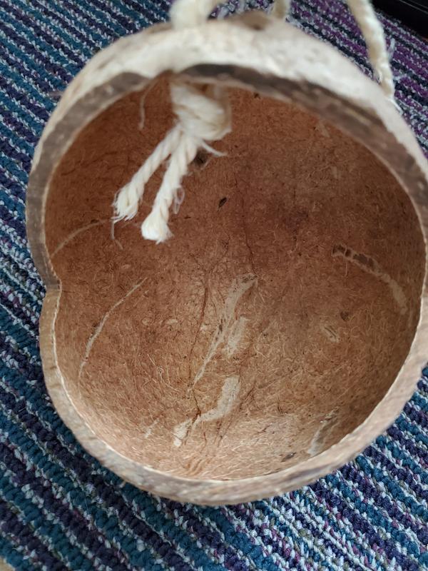 Inside the coconut