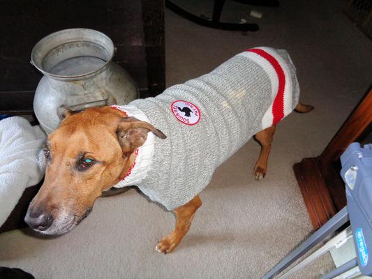 Colby's new sweater!