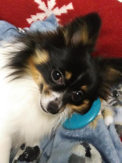 Reesey my little girl