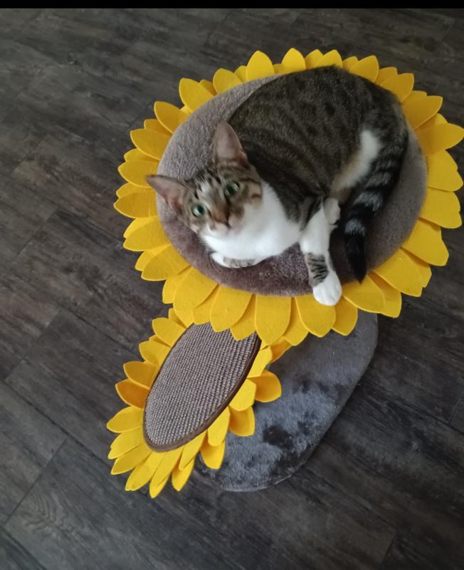 FRISCO Sunflower Cat Scratching Post, Two Posts with Lounger