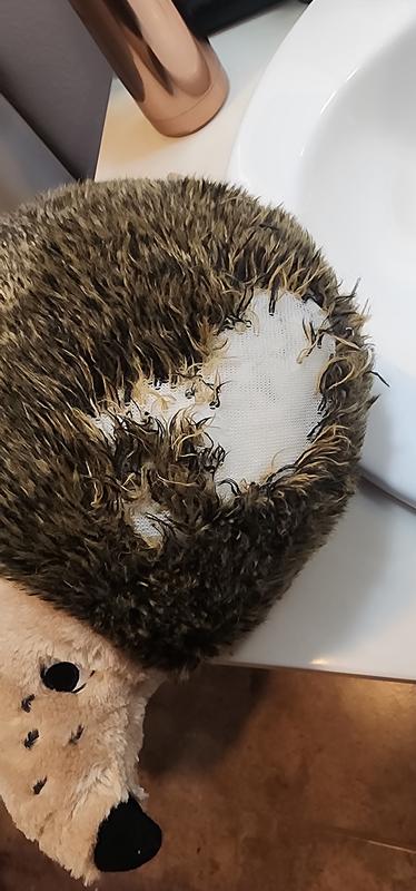 Large bald spot my dog pulled out.