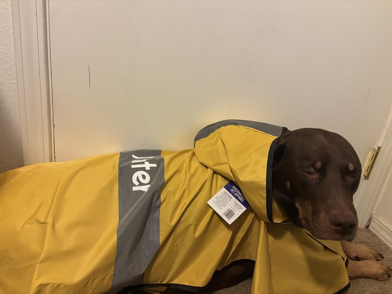 Fits good he’s happy