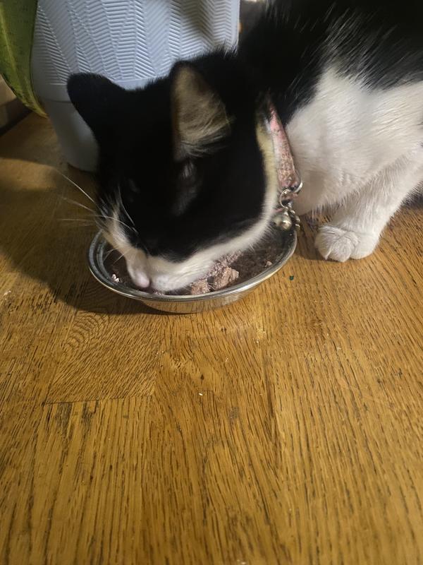 eden enjoying her dinner