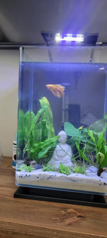 Marineland Contour Marineland Ml90609 Portrait Aquarium Kit