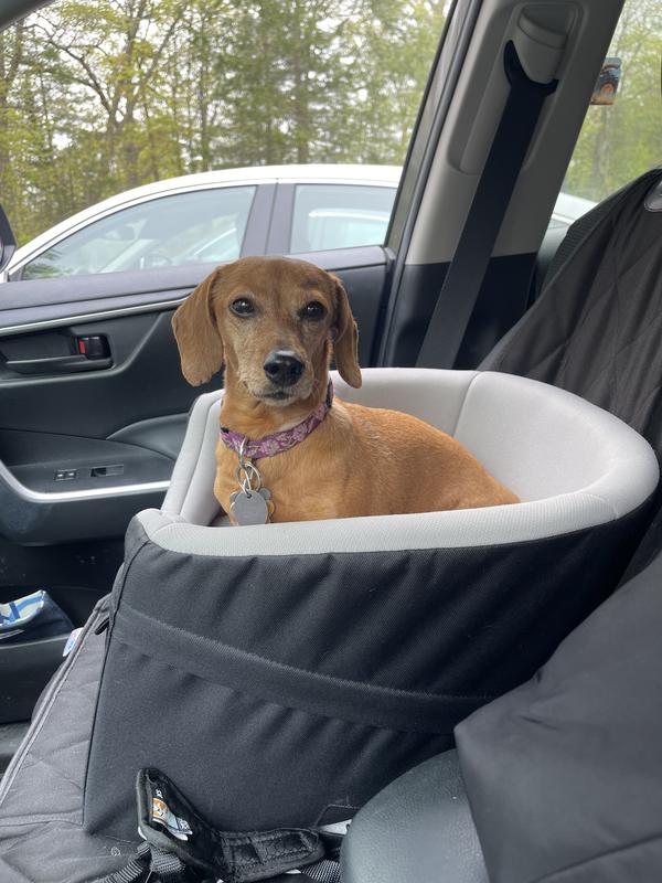 Great for small to medium dogs