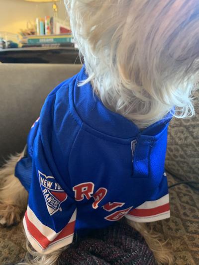 NHL Seattle Kraken Jersey for Dogs & Cats. - Size: Large. Best PET Jersey  for The New HOT Ice Hockey Team for Puppies, Large Dogs, Kittens & Large