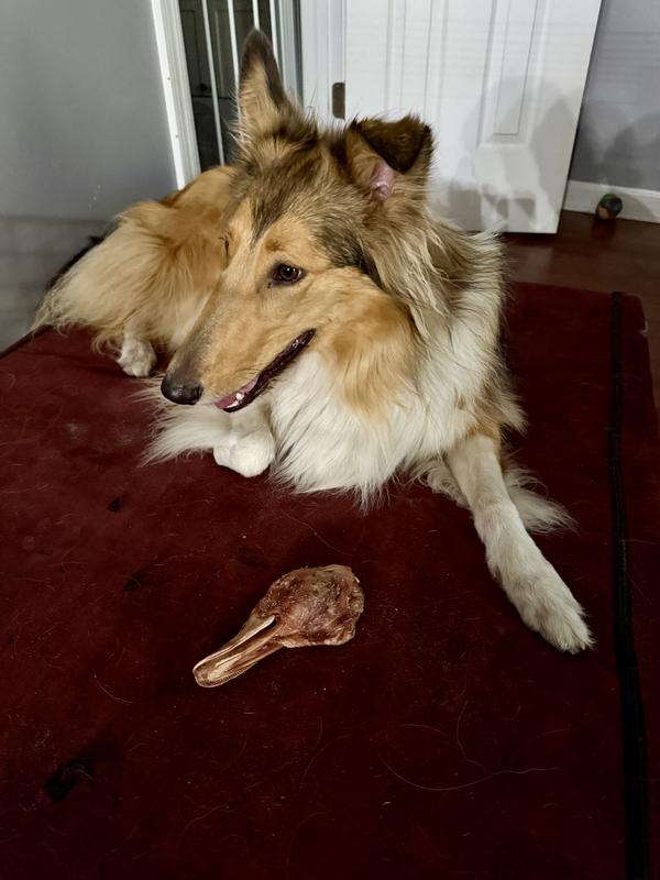 Looking to her brother asking if she should eat it