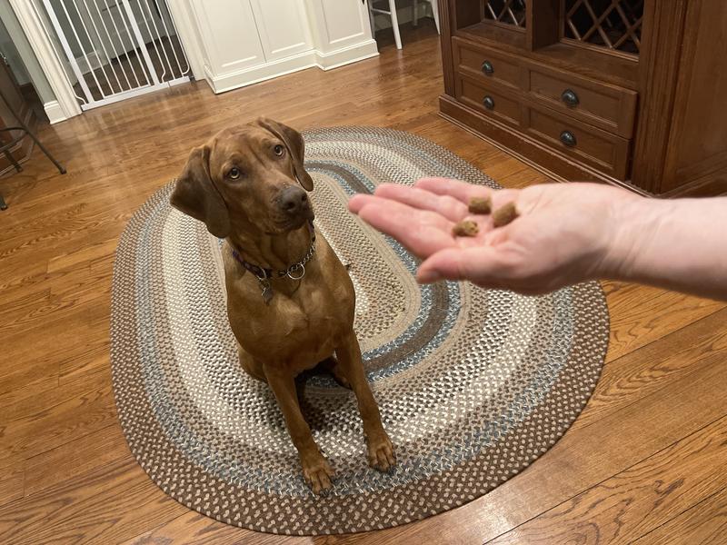 One bite at a time for tricks.