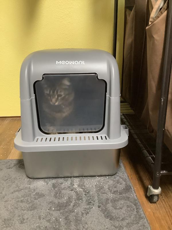 Poor little one was trapped, she didn’t know how to get out.