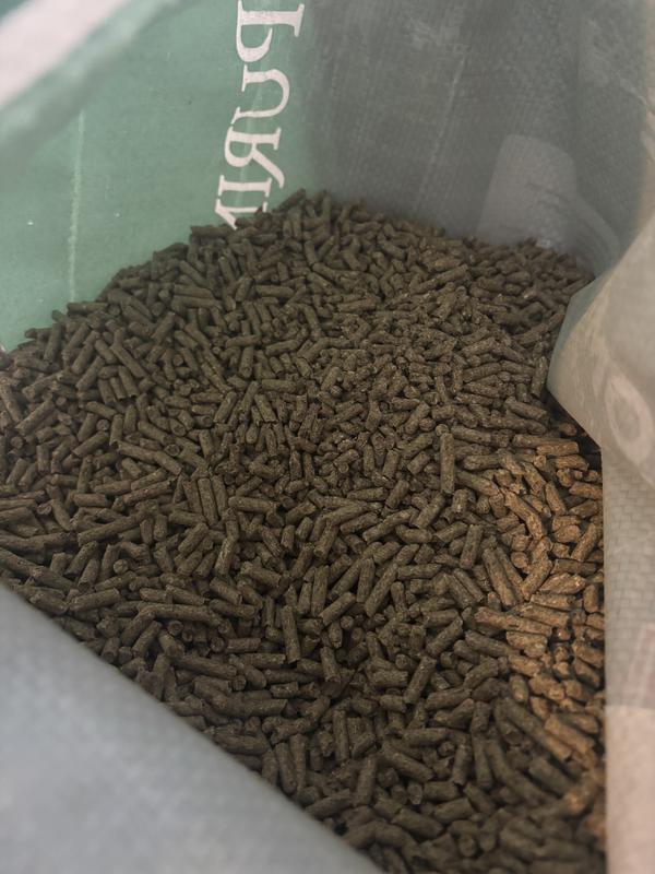 Purina Complete Rabbit Pelleted Feed, 50-lb bag - Chewy.com