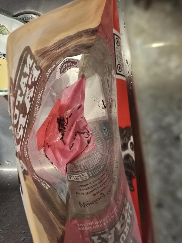 Worms inside bag