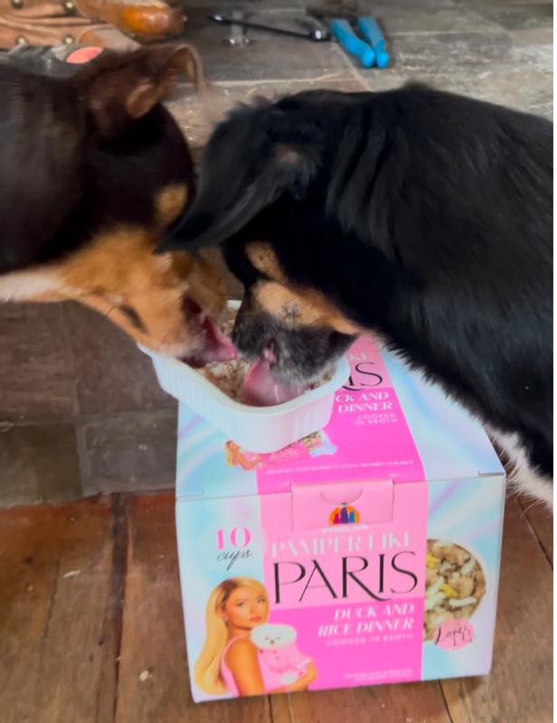 Bruce and Pete loving the duck and rice Pamper Like Paris!