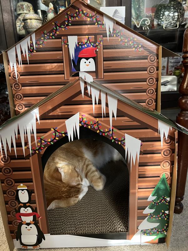 Blaze having a snooze.