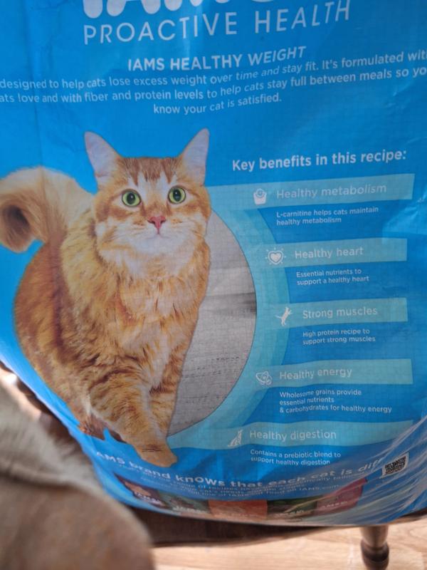 best bags for cat litter box Cat Litter Bags - Made in USA
