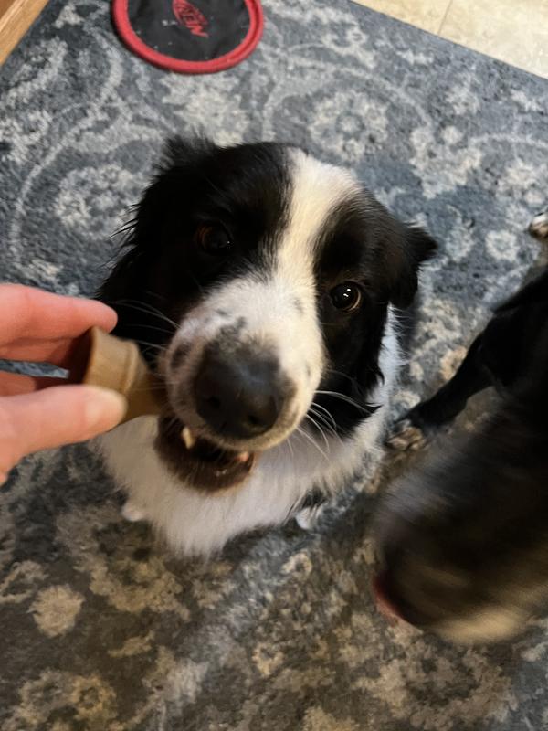 My Aussie Panda liked it but threw up afterward