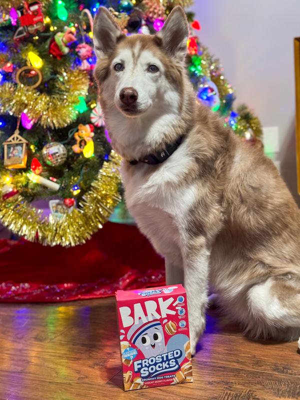 Jenna sitting with her new treats