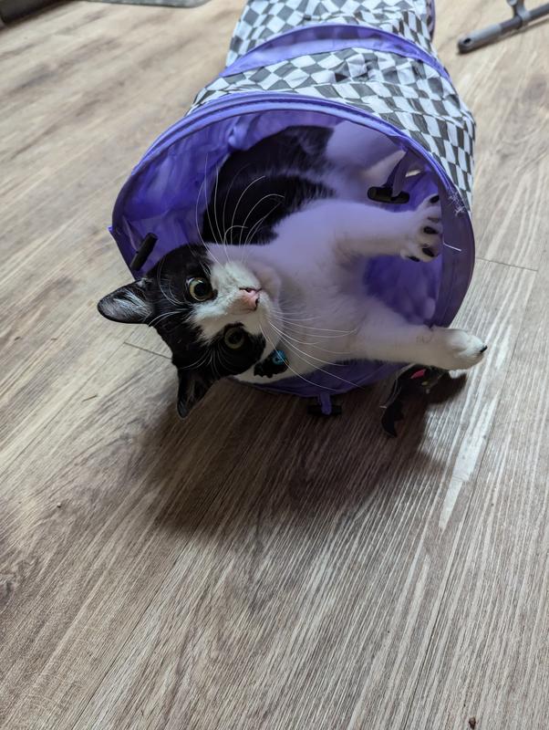 Cat Carrier S-Way s For Indoor Cats, Collapsible Cat Play Tunnel