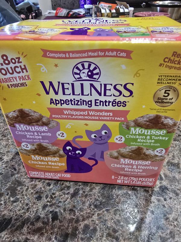 Mocha enjoying Wellness Appetizing Entrees