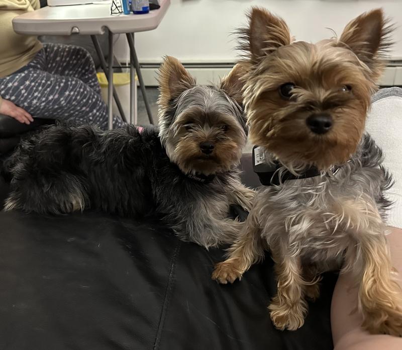 Best friends and family