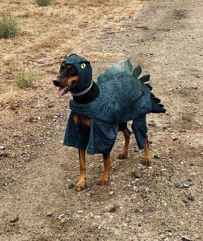 Dog in 2024 a dinosaur costume