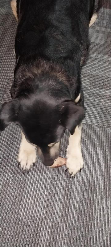 He was also a happy boy