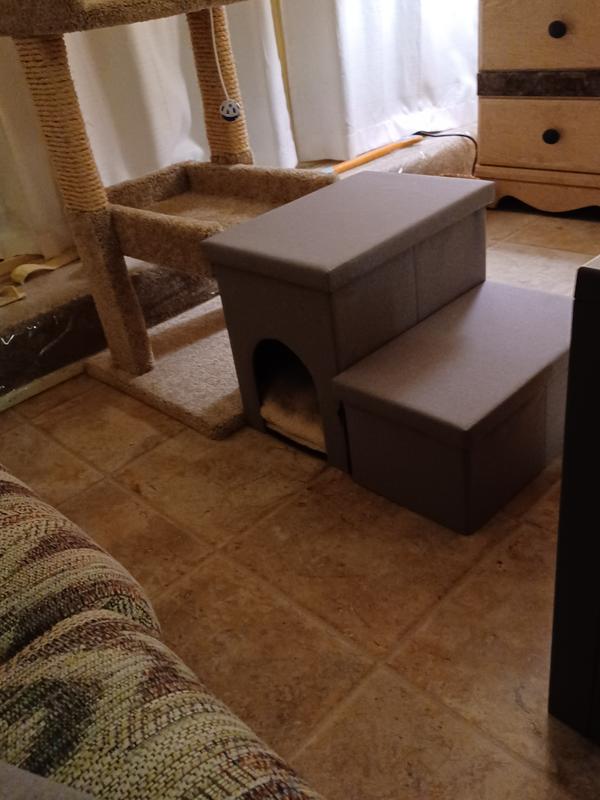 A temporary location so my gal could adjust to her new home.