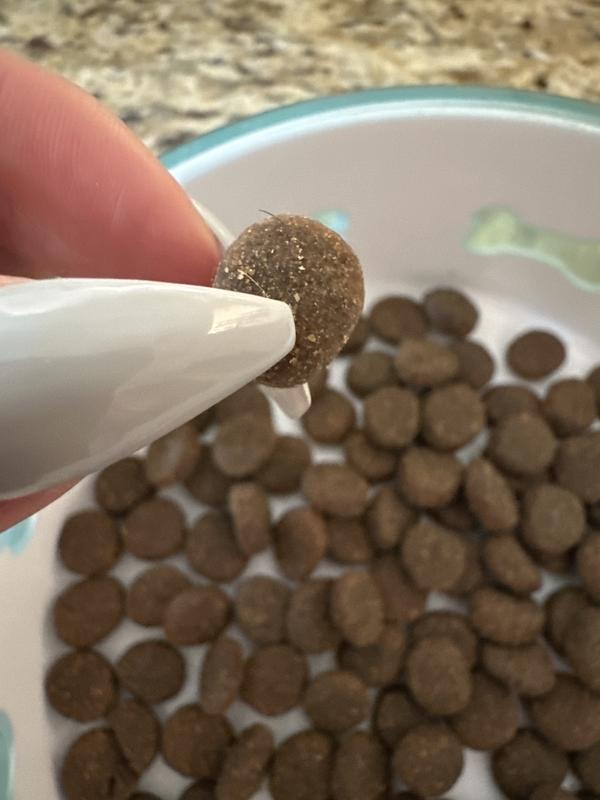 Black hair mixed inside of the dry food bits.
