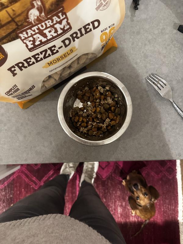 Made a gravy out of the dried chicken and mixed with his dry kibble for extra hydration and taste