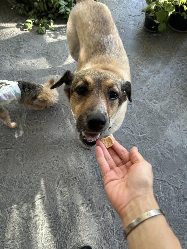 Happiness is this right here…