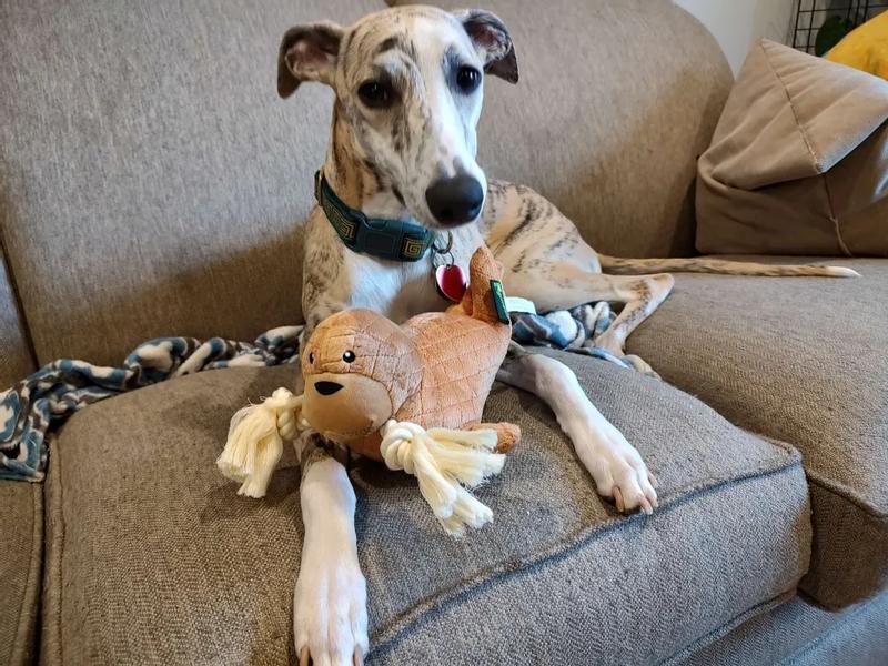 Don't be fooled by her expression -- she was just sad I made her stop playing to take a photo.