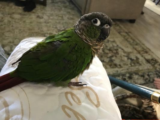Hey are you talking to me