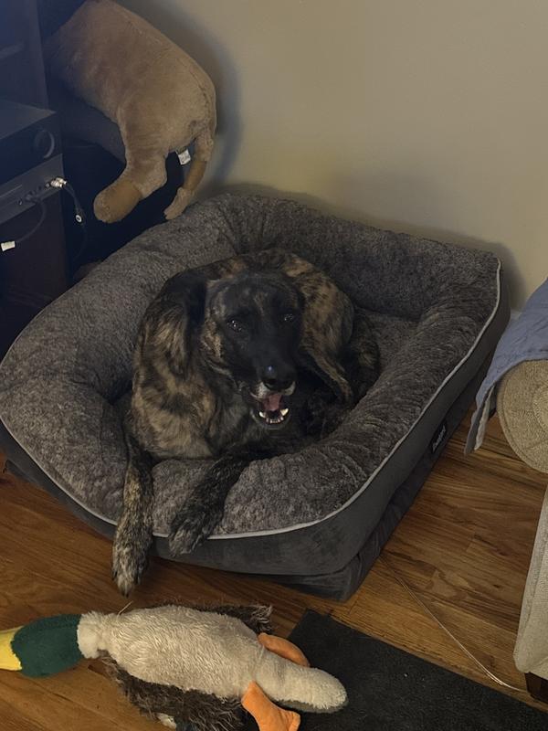 Loving his Christmas present