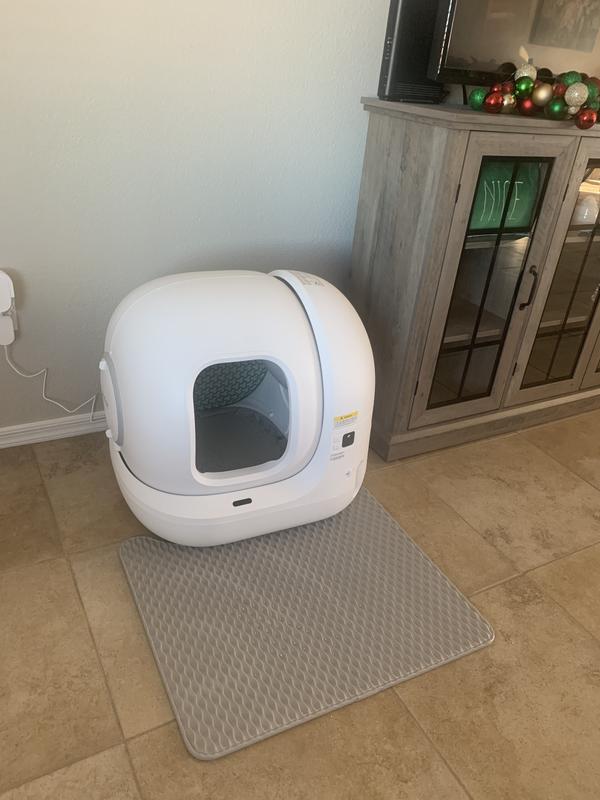 Trying it away from other litter boxes