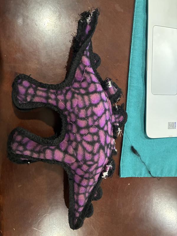 Spikes and head ripped off chew toy