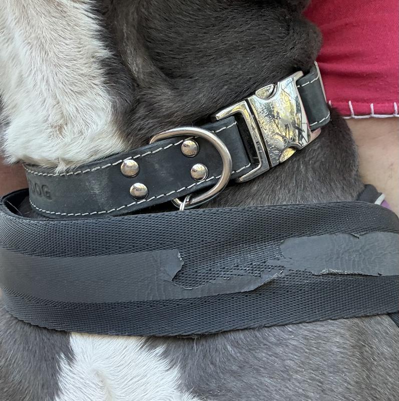 RLMW Rascal Waist Harness & NUTS MINI 来れる ×2