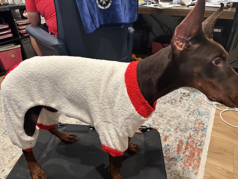 Frisco Candy Inspector Dog & Cat Hoodie