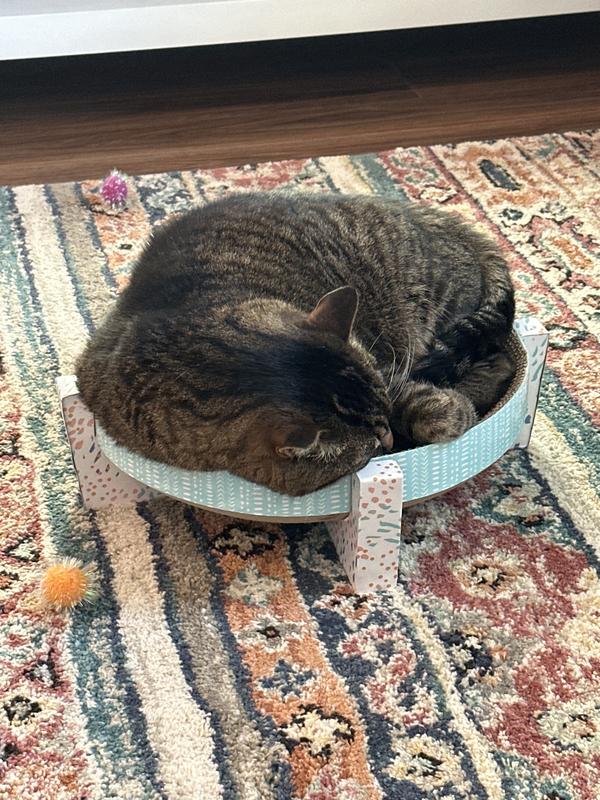 Sleepy time…. For maybe 5 minutes ha