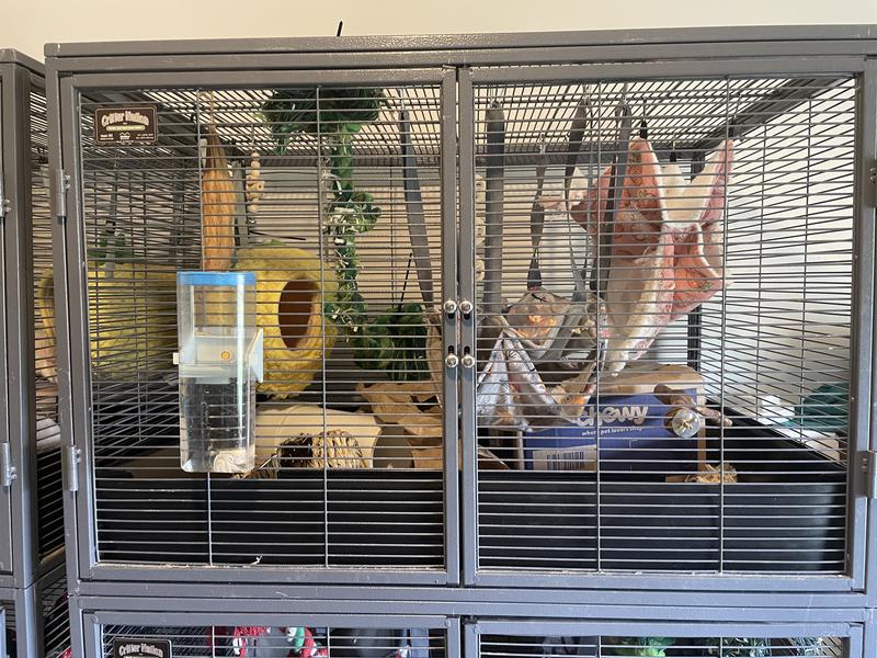 Cage closes easily. Pictured with additional landscaping barriers around the outside