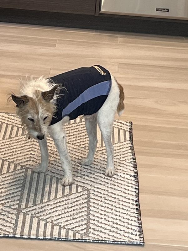 do thunder coats for dogs work