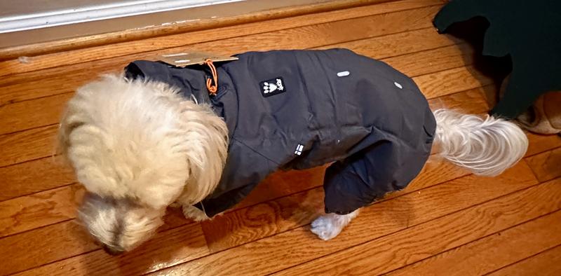 Hurtta Extreme Overall Insulated Dog Snowsuit, Blackberry