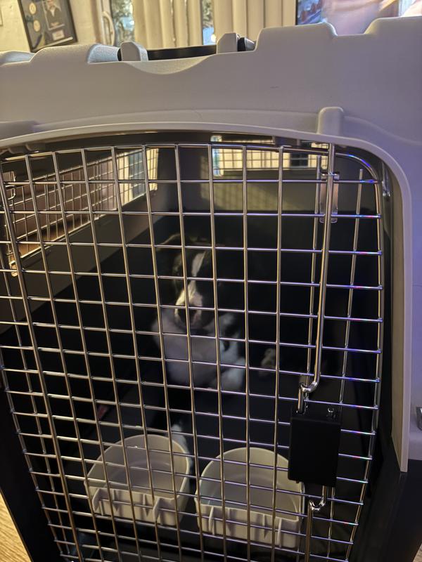 25lb LONG & TALL puppy in the xtra large.