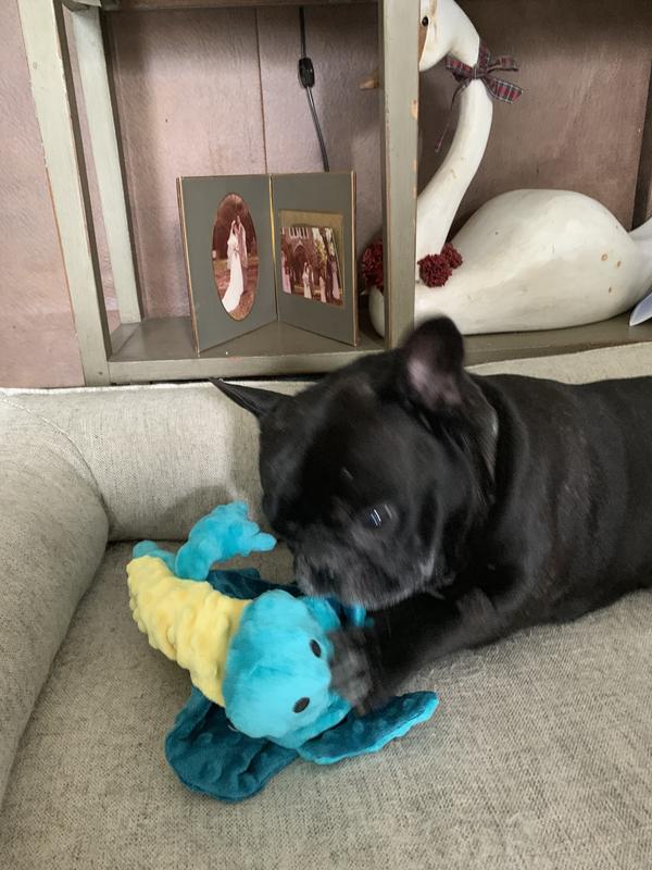 Nom nom!