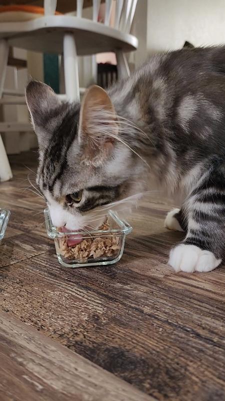 Cosmo Loves this food