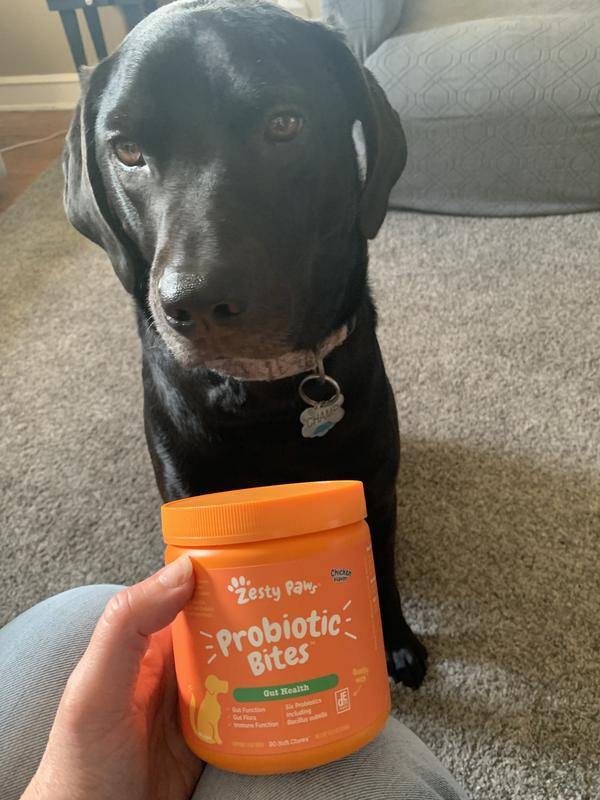 This pup says Paws up to this supplement