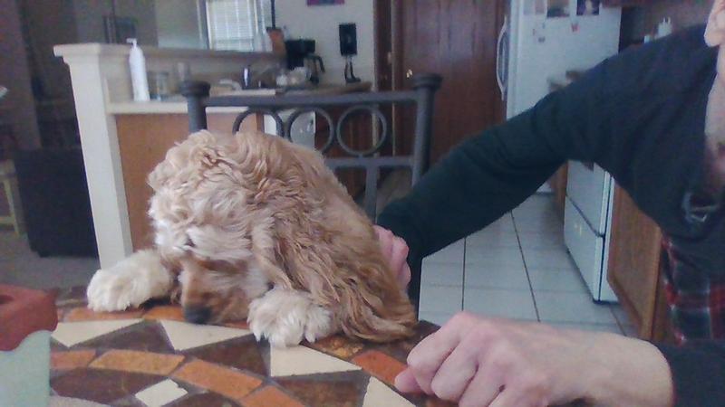 YAMNI PRAYING BEFORE HE EATS