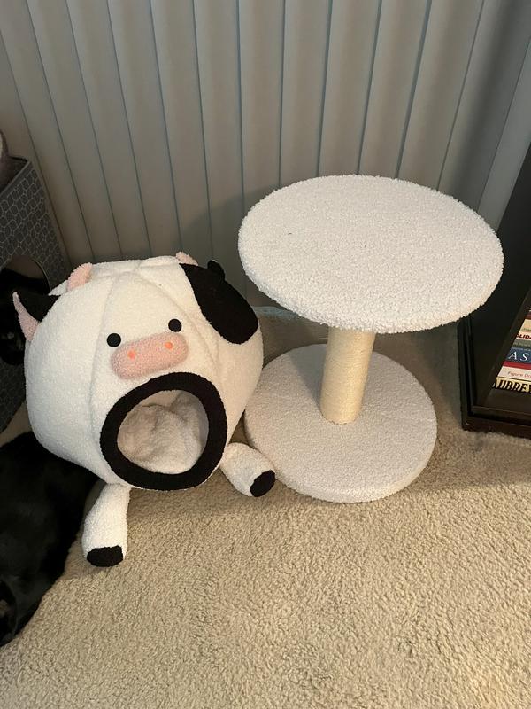 Cat bed resting on floor separate from Scratcher