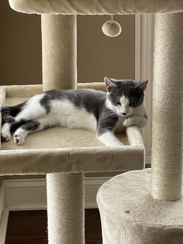 FRISCO 42in Heavy Duty Faux Fur Cat Tree & Condo, Gray