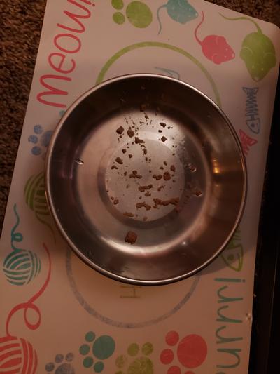 Empty bowl, everytime